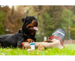 Dogoteka CelerVis Pet® supliment alimentar complementar pasta energetica caini