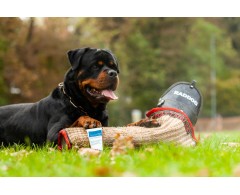 Dogoteka CelerVis Pet® supliment alimentar complementar pasta energetica caini