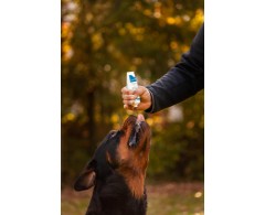Dogoteka CelerVis Pet® supliment alimentar complementar pasta energetica caini
