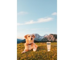 Dogoteka CelerVis Pet® supliment alimentar complementar pasta energetica caini