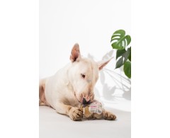 DOGOcookies immuno biscuiti pentru caini de la DOGOteka®