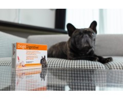DOGOdigestive® supliment pentru imbunatatirea digestiei la caini .