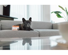 DOGOdigestive® supliment pentru imbunatatirea digestiei la caini .