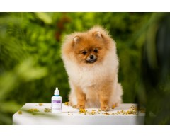 Picaturi calmante DOGOteka® DogoDrops® pentru ochi animale .