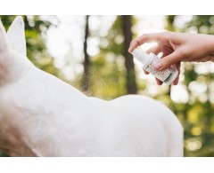 DogoSTOP Spray®
