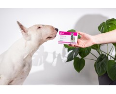 Dogoteka MultiAdapt® supliment alimentar complementar imunitate caini