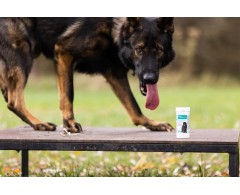 Dogoteka DOGOmaxy® supliment pentru articulatii caini de talie mare