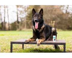 Dogoteka DOGOmaxy® supliment pentru articulatii caini de talie mare