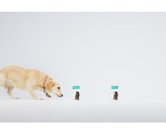 Dogoteka DOGOmaxy® supliment pentru articulatii caini de talie mare