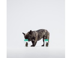 Dogoteka DOGOmaxy® supliment pentru articulatii caini de talie mare