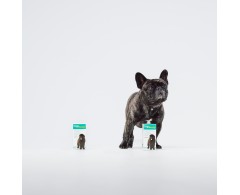 Dogoteka DOGOmaxy® supliment pentru articulatii caini de talie mare