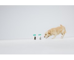 Dogoteka DOGOmaxy® supliment pentru articulatii caini de talie mare