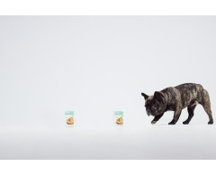 Dogoteka DOGOjunior®  supliment articulatii caini junior