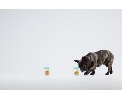 Dogoteka DOGOjunior®  supliment articulatii caini junior