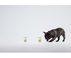 Dogoteka DOGOjunior®  supliment articulatii caini junior