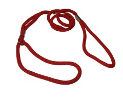 Lesa prezentare expozitii canine