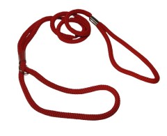 Lesa prezentare expozitii canine