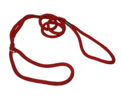 Lesa prezentare expozitii canine