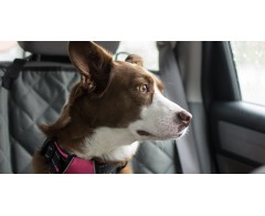 LUPOSAN® LUPO Relax 400 g