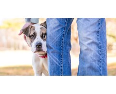 LUPOSAN® LUPO Relax 400 g