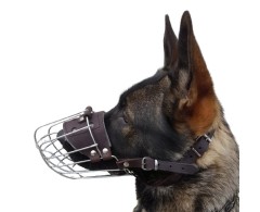 Botnita pentru Ciobanesc German mascul