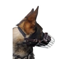 Botnita pentru Ciobanesc German mascul