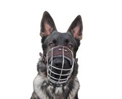 Botnita pentru Ciobanesc German mascul