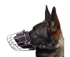 Botnita pentru Ciobanesc German mascul