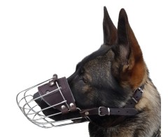 Botnita pentru Ciobanesc German mascul