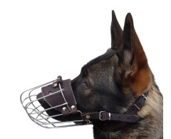 Botnita pentru Ciobanesc German mascul