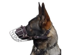 Botnita pentru Ciobanesc German mascul