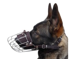 Botnita pentru Ciobanesc German mascul