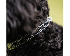 Zgarda profesionala pentru dresaj ULTRA-PLUS Micro INOX 1,5 mm , 30 cm