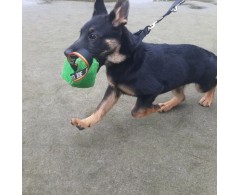 Tug tip cub Euro Joe material francez M 10 / 10 cm