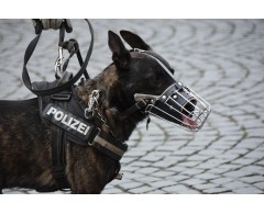 Botnita militara pentru Ciobanesc Belgian Malinois