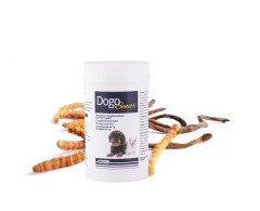 DogoSenior® de la DOGOteka