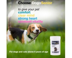 DogoSenior® de la DOGOteka