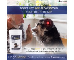 DogoSenior® de la DOGOteka
