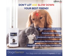DogoSenior® de la DOGOteka