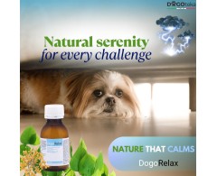 DogoRelax® de la DOGOteka
