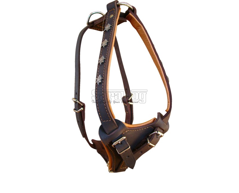 Ham de lux pentru caini confectionat din piele naturala fett si captusit cu piele moale nappa