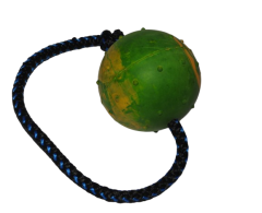 Minge din cauciuc natural Ø 6,5 cm prevazuta cu snur pentru dresaj canin