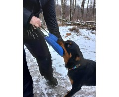 Perna de muscatura profesionala PROFI cu maner bucla si maner detasabil pentru dresaj canin .