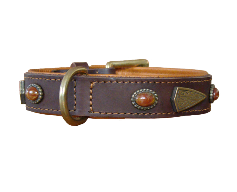 Zgardă de lux pentru caini , din piele naturala si chihlimbar