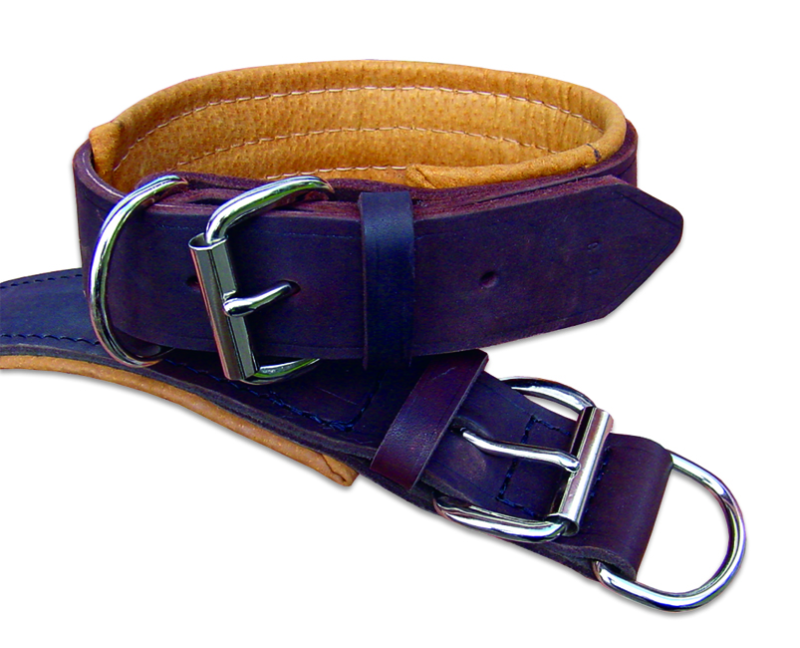 Zgarda lata pentru caini , din piele naturala fett si captusita cu piele moale 