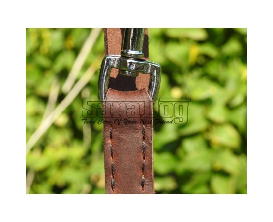 Lesa reglabila pentru dresaj canin 