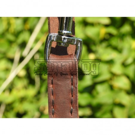 Lesa reglabila pentru dresaj canin 