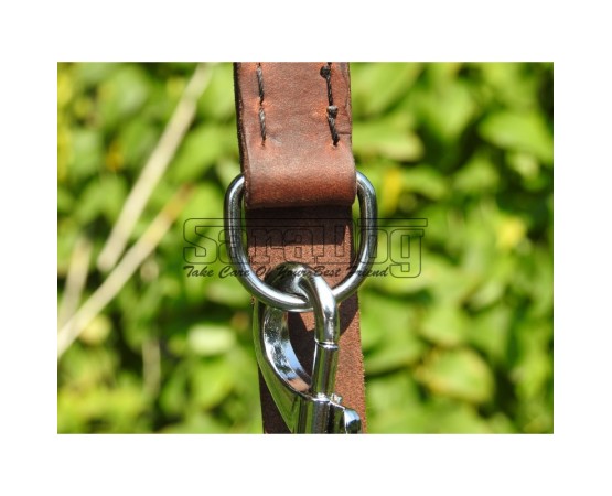 Lesa reglabila pentru dresaj canin 