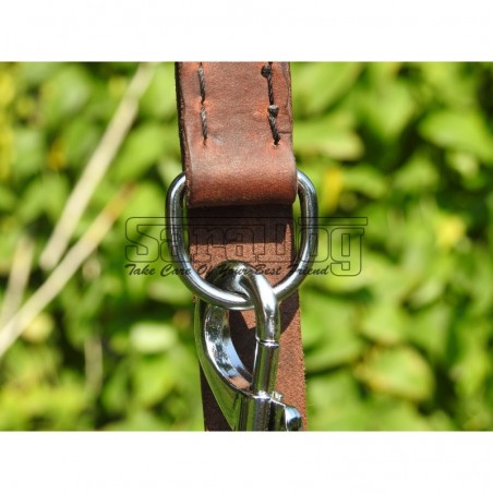 Lesa reglabila pentru dresaj canin 