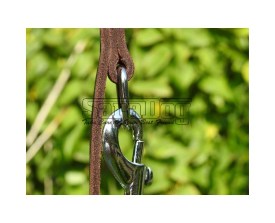 Lesa reglabila pentru dresaj canin 